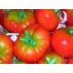 Foglie di Pomodoro pronte per frutta martorana