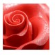 Lucidante per dolci Spray