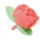 Rose in Ostia Colorate con foglioline pz 180