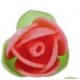 Rose in Ostia Colorate con foglioline pz 180