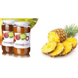 Paste aromatizzanti in Vasetto vari Gusti di Frutta