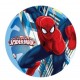 Ostia per Torte Spiderman Rotonda
