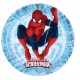Ostia per Torte Spiderman Rotonda