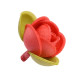 230 Roselline Gialle / Rosse in Ostia