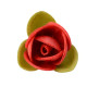 230 Roselline Gialle / Rosse in Ostia