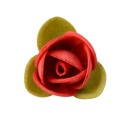 230 Roselline Gialle / Rosse in Ostia