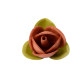 230 Roselline Gialle / Rosse in Ostia