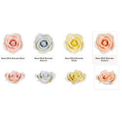 Rose sfumate pronte all'uso diametro 5.5 cm vari colori