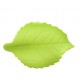 FOGLIA OVATA VERDE ZUCCHERO 4CM PZ.100