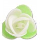 Rose in Ostia Colorate con foglioline pz 180