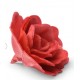 ROSA CINESE MEDIA OSTIA PZ.18 ROSSA