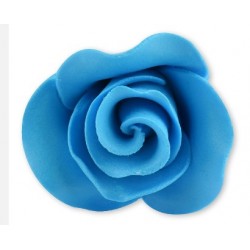 ROSA IN ZUCCHERO CELESTE