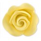 ROSA IN ZUCCHERO GIALLO