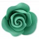 ROSA IN ZUCCHERO VERDE