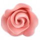 ROSA IN ZUCCHERO ROSA