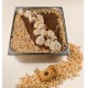 Crumble Frollino