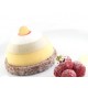 Stampo silicone 6 Baci Silikomart