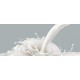 Latte Condensato Zuccherato 5 KG