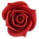 BOCCIOLO DI ROSA ROSSO ZU @5