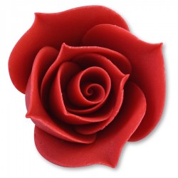 BOCCIOLO DI ROSA ROSSO ZU @5