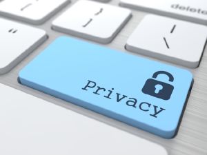 Informativa Privacy